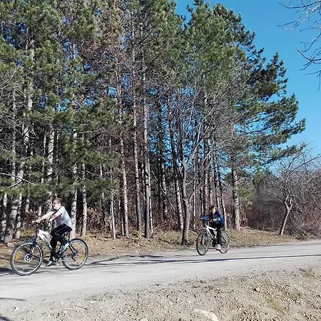 Semesteranläggning (resort) Complex Magura