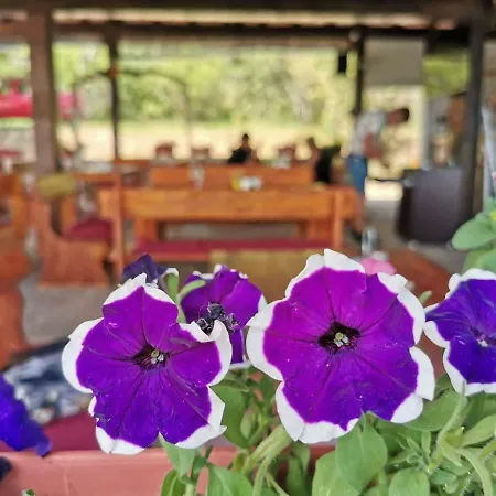 Complex Magura Semesteranläggning (resort) Rabisha