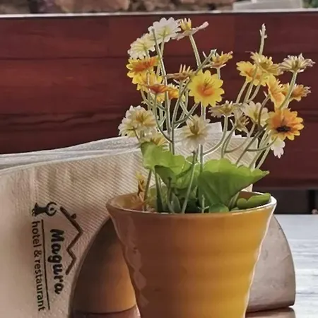 Complex Magura Complex Rabisha