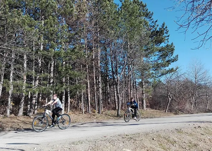 리조트 Complex Magura