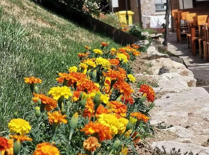 리조트 Complex Magura 2*