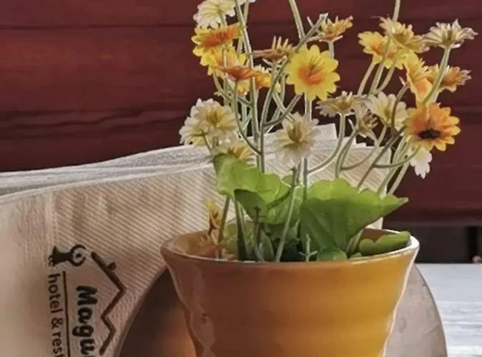 Complex Magura Rezort Rabisha